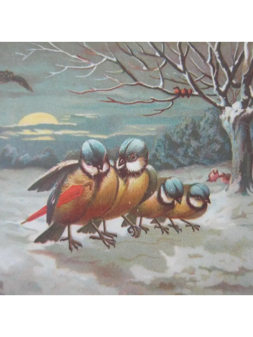 Victorian Greeting Card New Years Titmouse Birds Red Umbrella Snow Trees Antique